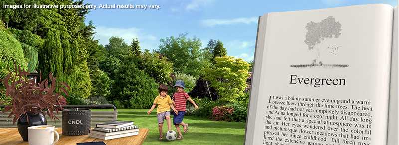 Simulação da visão de um olho jovem sem grau, focando todos os objetos ao mesmo tempo: longe, intermediário e perto.